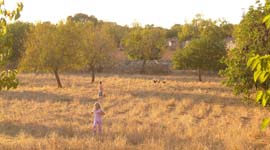 Children in field